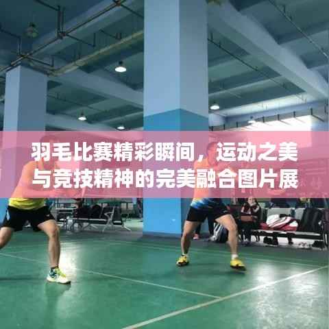 羽毛比赛精彩瞬间,运动之美与竞技精神的完美融合图片展