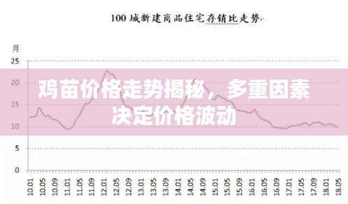 鸡苗价格走势揭秘,多重因素决定价格波动