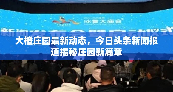 大橙庄园最新动态,今日头条新闻报道揭秘庄园新篇章