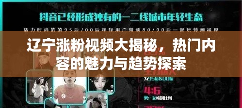 辽宁涨粉视频大揭秘,热门内容的魅力与趋势探索
