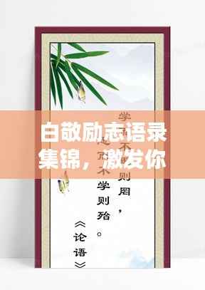 白敬励志语录集锦,激发你无限潜能的励志名言!