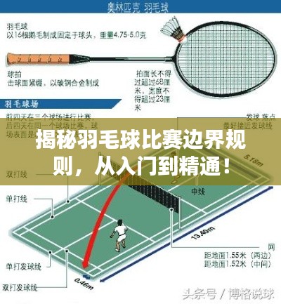 揭秘羽毛球比赛边界规则,从入门到精通!