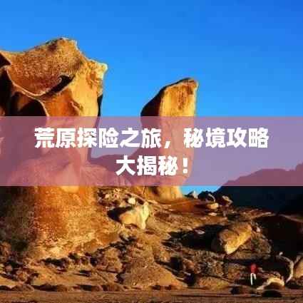 荒原探险之旅,秘境攻略大揭秘!