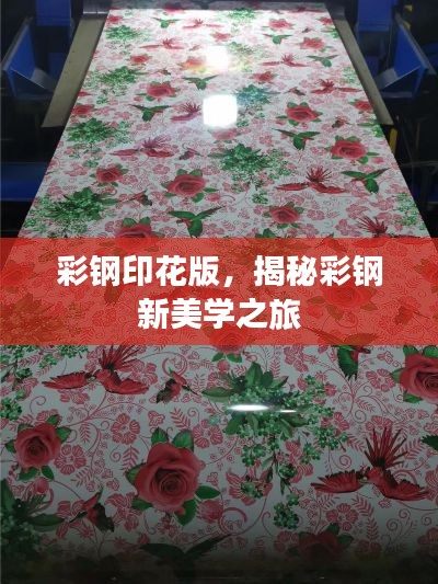 彩钢印花版，揭秘彩钢新美学之旅