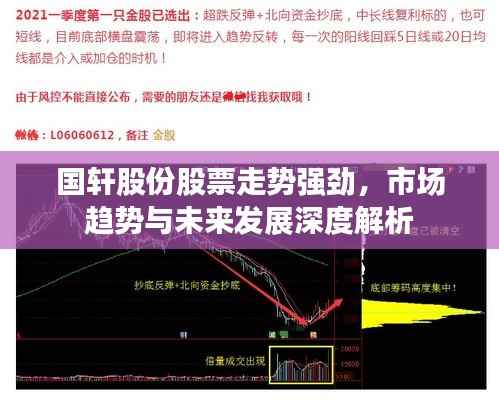 国轩股份股票走势强劲,市场趋势与未来发展深度解析